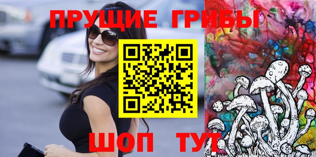Псилоцибиновые грибы Psilocybe  наркотики  Миллерово  Вход с VPN  Галлюциногенные грибы прущие грибы 